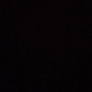 Meet your Posher, Lilly